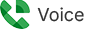 Google Voice